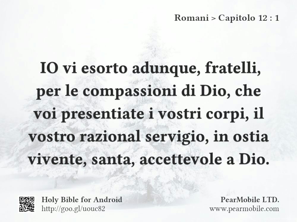 Romani, Capitolo 12:1